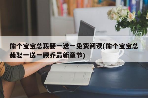 偷个宝宝总裁娶一送一免费阅读(偷个宝宝总裁娶一送一顾乔最新章节)