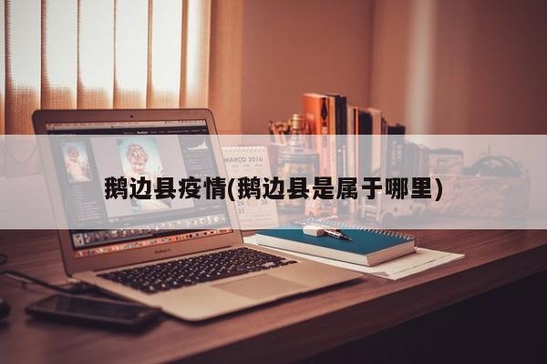 鹅边县疫情(鹅边县是属于哪里)